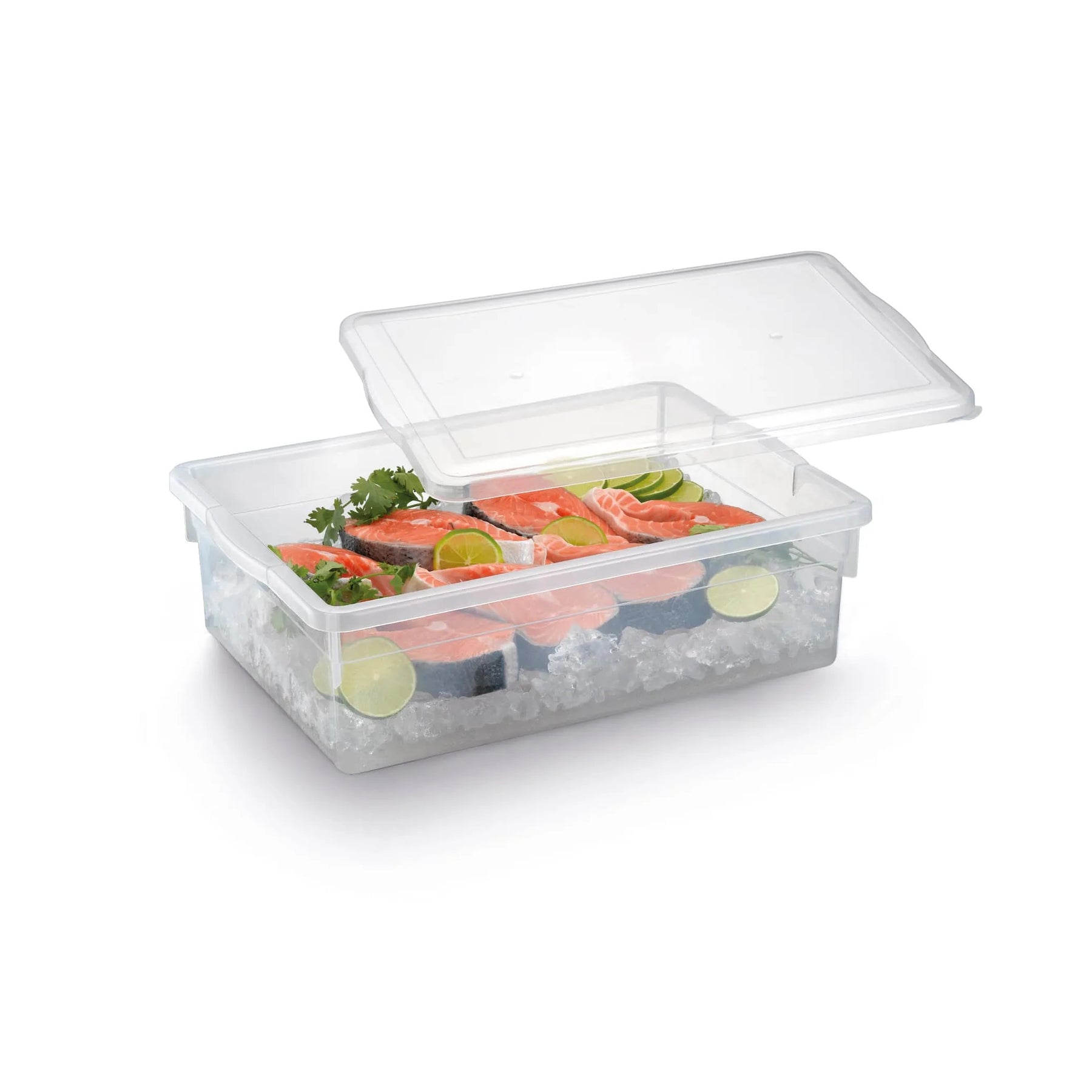 CAIXA BIOPRATIKA 5 LITROS 0320 - PLEION