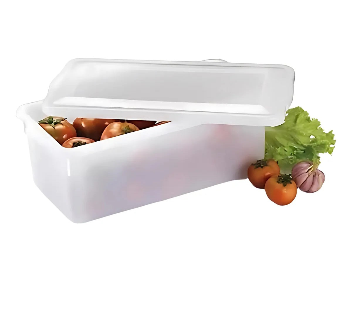 CAIXA BIOPRATIKA 5 LITROS 0510 - PLEION