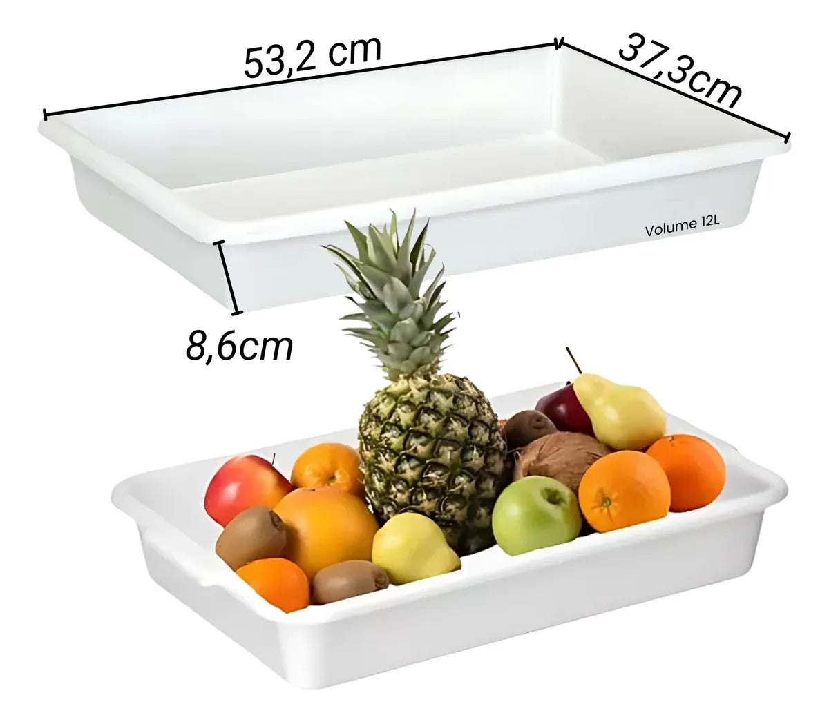 Kit 10 Bandejas Plásticas Multiuso Para Açougue 12 L Pleion