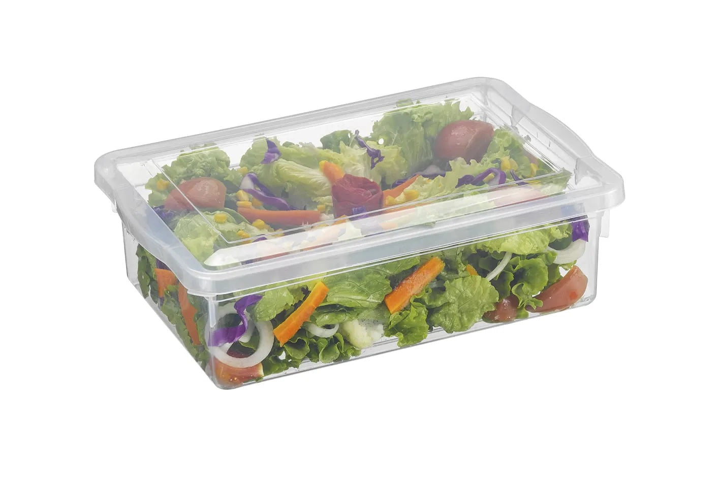CAIXA BIOPRATIKA 2,5 LITROS 0310 - PLEION