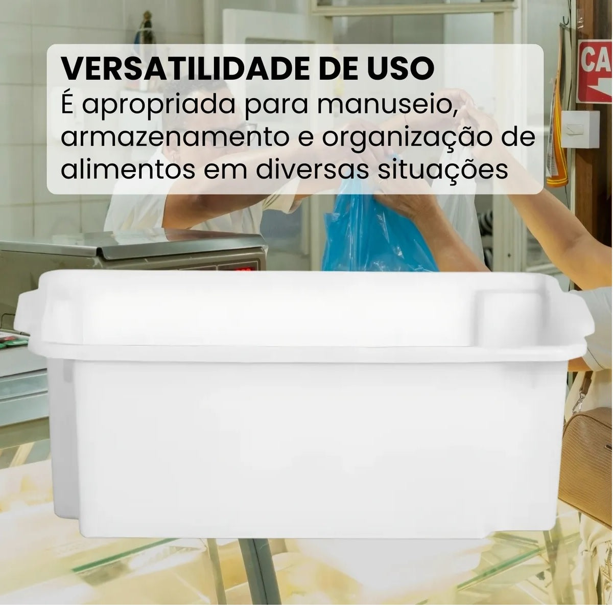 CAIXA BIOPRATIKA 24,5 LITROS 0530 - PLEION