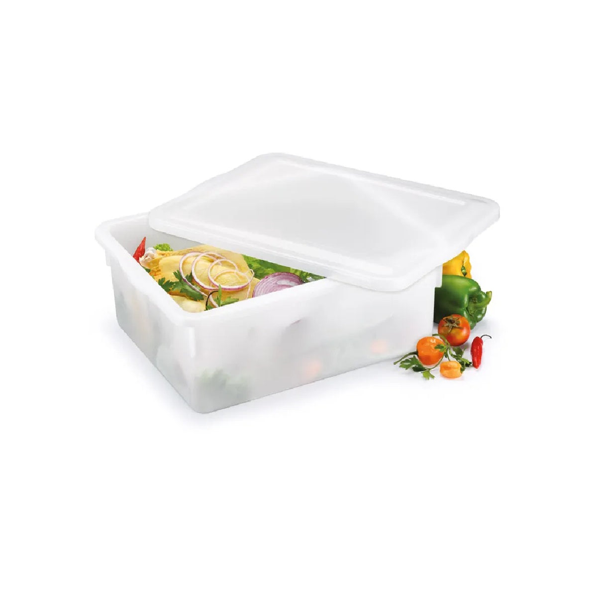 CAIXA BIOPRATIKA 16,5 LITROS 0540 - PLEION
